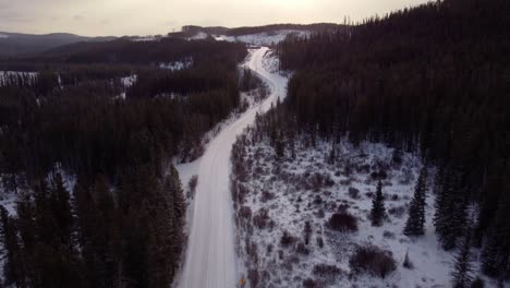 Drone-view-of-the-winter-forest-in-Canadian-Prairies-in-cloudy-day
