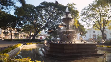 Camera-tracks-pigeon-as-the-fly-by-mermaid-fountain-in-Antigua-Guatemala,-in-slow-motion