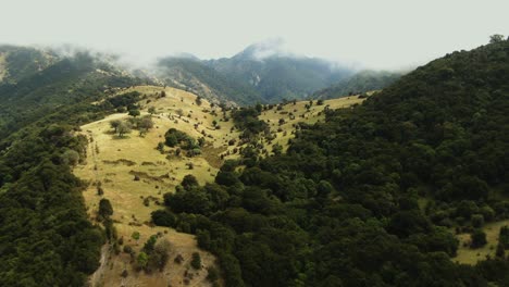 Drone-reveal-of-thick-fog-rolling-over-mountainous-hills-and-valley-in-New-Zealand-countryside-landscape-covered-in-green-trees-and-vegetation