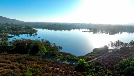 Palm-flora-landscape-at-Murray-lakeside-ripples-San-Diego-aerial