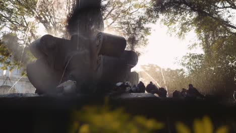 Nahaufnahme-Des-Meerjungfrauenbrunnens-In-Antigua-Guatemala,-Filmische-Aufnahme-Mit-Bewegung-Und-Verschwommenem-Vordergrund,-Tauben-In-Sicht