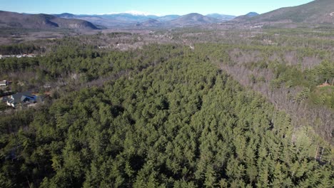 Vast-Whitaker-Woods,-Conway-New-Hampshire-green-forest-trees-and-mountain-range-aerial-view-towards-skyline