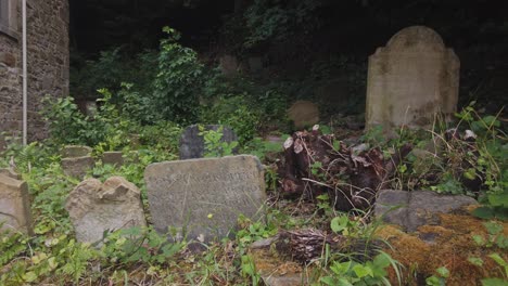 A-wide-shot-of-the-overgrown-graveyard-at-St-James-Church-in-Holywell,-Wales