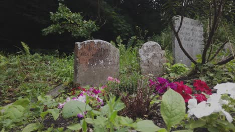 A-wide-shot-of-some-old-gravestone-in-a-Welsh-graveyard