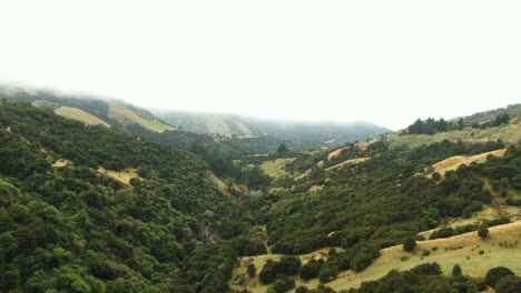 Vista-De-Drones-Gran-Valle-Verde-Rodeado-De-Colinas-Altas-Y-Empinadas-En-Un-Día-Nublado-Con-Niebla-Baja-Cubierta-De-árboles-Y-Vegetación-Verde