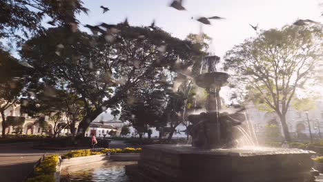 Flock-of-birds-fly-by-Mermaid-Fountain-in-Antigua-Guatemala's-Central-Park-at-sunset,-obscuring-the-flare-through-the-trees'-branches