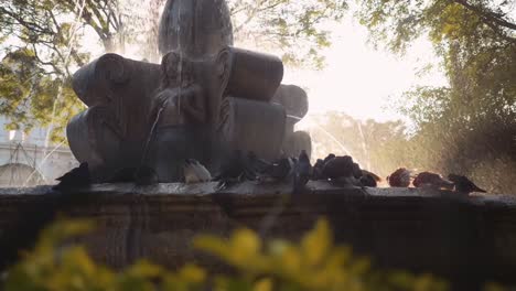 Slow-motion-close-up-of-a-pigeon-landing-on-the-edge-of-mermaid-fountain-in-Antigua-Guatemala-at-sunset