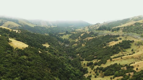 Vista-De-Drones-De-Niebla-Espesa-Rodando-Sobre-Colinas-Montañosas-Y-Valles-En-El-Campo-De-Nueva-Zelanda-Lleno-De-Pendientes-Empinadas-Y-Bosques