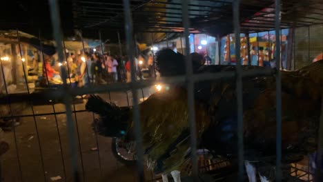 Pollos-Enjaulados-Para-Vender-En-El-Mercado-De-Bangladesh