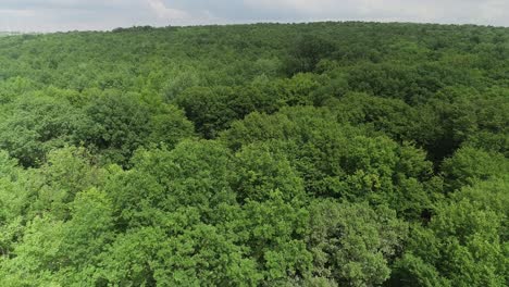 Drone-view--of-mountains-covered-with-trees--covering-small-rural-community