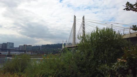 4K-Portland,-Oregon-trucking-right-to-left-from-behind-trees-reveal-of-Tilikum-Crossing-Bridge-over-Willamette-River-with-mostly-cloudy-sky