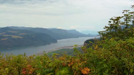 HD-Scrape-right-to-left-along-autumn-hedges-revealing-the-Vista-House-on-a-cliff-in-the-distance-overlooking-the-Columbia-River-with-mostly-cloudy-sky