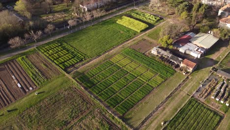 A-dynamic-wide-angle-aerial-shot-of-the-sunset-over-a-vegetable-plot-farm-in-Agronomia,-Buenos-Aires
