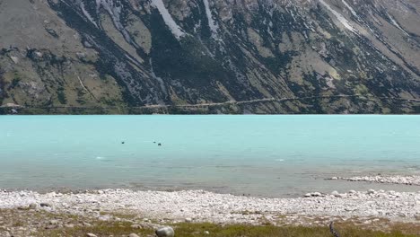 Tight-slow-motion-shot-of-birds-flying-low-over-turquoise-water-of-alpine-lake-with-towering-mountain-in-background