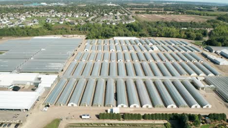 Aerial,-industrial-greenhouse-nurseries-for-agricultural-farming-growing-food