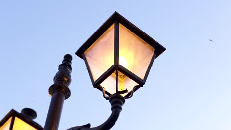 Beautiful-orange-lamp-with-the-blue-hour-sky-in-the-background