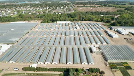 Aerial,-rows-of-industrial-greenhouse-nursery-structures-for-farm-agriculture