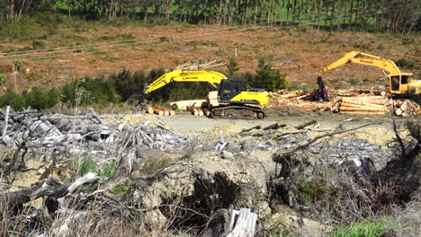 Excavators-used-for-logging-and-deforestation-on-land-cleared-for-palm-oil-and-agriculture