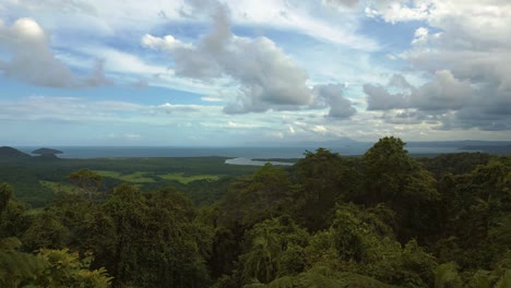 Daintree-Rainforest-lookout,-Cape-Tribulation-Australia