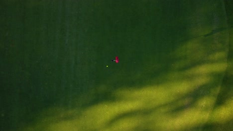 Drohnen-Luftaufnahmen-4k,-Wie-Man-Den-Golfball-An-Einem-Sonnigen-Tag-Beim-Üben-Auf-Dem-Golfplatz-In-Das-Loch-Steckt