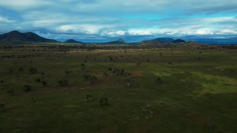 Wide-Outback-savannah-grass-area-farming-in-Queensland,-Australia-with-trees-and-green-grass-and-mountains-in-the-background