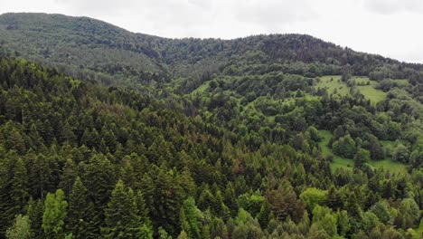Serene-view-of-evergreen-forest-in-Beskid-mountains,-Southern-Poland,-aerial