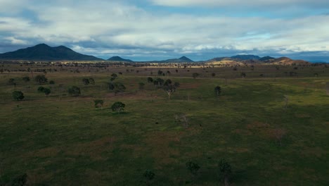 Wide-savannah-Outback-grass-area-farming-in-Queensland,-Australia-with-trees-and-green-grass-and-mountains-in-the-background