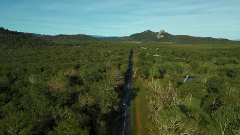 Silver-car-driving-on-road-along-a-lush-green-gum-tree-forest-and-mountains