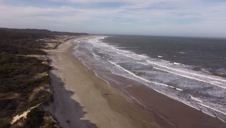 Aerial-tracking-shot-of-black-bird-flying-over-sandy-beach-in-front-of-Atlantic-Ocean-in-Uruguay