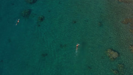 Gente-Nadando-En-Agua-De-Mar-Clara-En-El-Golfo-De-Aqaba-Por-Princess-Beach,-Eilat,-Israel-De-Arriba-Hacia-Abajo---Vista-Aérea-De-Seguimiento-Distante