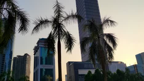 Palm-Trees-and-Skyscrapers-at-Sunset-in-Central-Kuala-Lumpur,-Pan-Shot