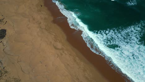 Sandy-beach-seaside-bay-sea-coast-in-New-South-Wales,-Queensland-and-Victoria,-Australia