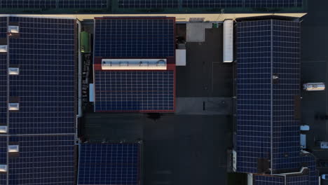 Paneles-Solares-Que-Cubren-Los-Techos-De-Los-Edificios-Industriales