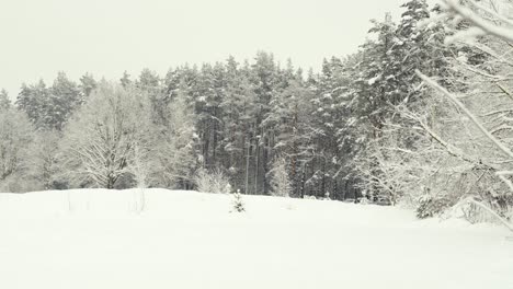 Schönheit-Des-Schneebedeckten-Winterwaldes,-Handheld-Ansicht