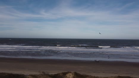 Schwarze-Vögel,-Die-über-Den-Atlantik-Und-Den-Strand-Von-Playa-Grande-In-Punta-Del-Diablo-In-Uruguay-drohnenansicht-Fliegen