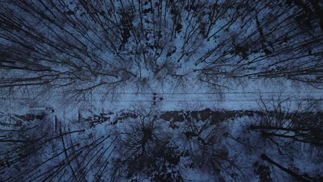 Aerial-view-of-a-group-of-travelers-are-walking-along-a-forest-road-in-winter