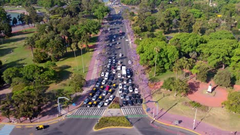 Aerial-shot-of-a-road-saturated-with-cars-and-flanked-by-jacaranda-trees,-squares-full-of-trees-all-around-on-a-sunny-day