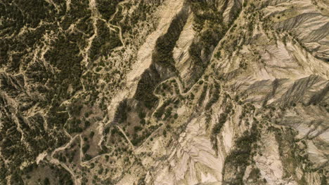 Sandstone-hills-and-arid-steppe-with-stripes-of-dry-land,-Georgia