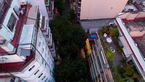 Aerial-view-boom-down-of-balcony-with-a-group-of-friends-and-another-with-plants,-garden-at-home,-streets-with-trees-on-the-sides,-Almagro,-Buenos-Aires