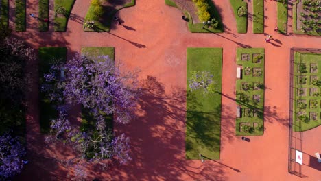 Overhead-aerial-view-of-the-orange-color-of-the-ground-and-design-of-the-Palermo-Rose-Garden,-spring-in-the-southern-cone,-Buenos-Aires,-Argentina