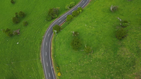 Birdseye-aerial-flying-over-winding-and-deserted-road-outside-Dunedin,-New-Zealand