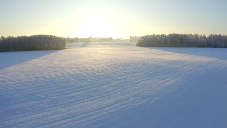 Flying-over-a-snowy-field-cast-in-bright-winter-sun
