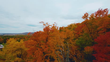 FPV-drone-view-flying-through-a-colorful,-autumn-forest