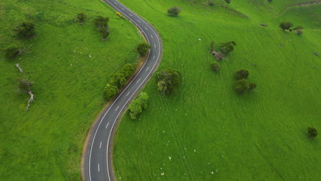 Curved-road-in-green-prairie-in-Dunedin-area,-New-Zealand,-aerial-downwards-view