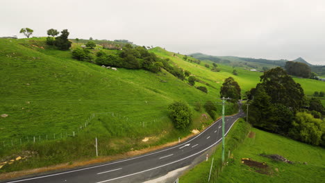 Vast-lush-greenery-outdoors-in-Karitane-Dunedin-area-in-New-Zealand,-roads,-and-beautiful-green-meadows-of-New-Zealand