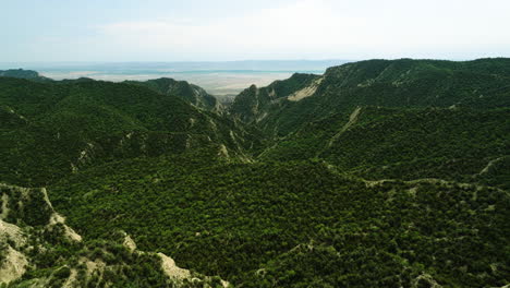Hills-with-lush-bush-vegetation-in-Vashlovani-nature-reserve,-Georgia