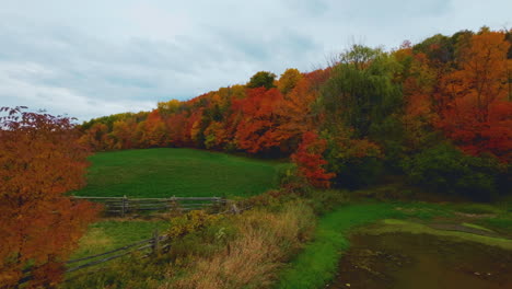 Scenic-FPV-aerial-drone-view-flying-over-farmland-and-into-a-colorful,-autumn-forest