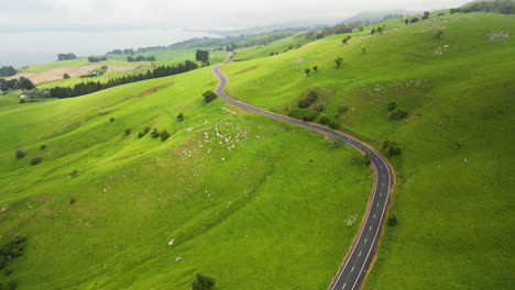 Scenic-asphalt-road-on-lush-green-hills-on-coast-of-South-Island,-New-Zealand,-aerial-view