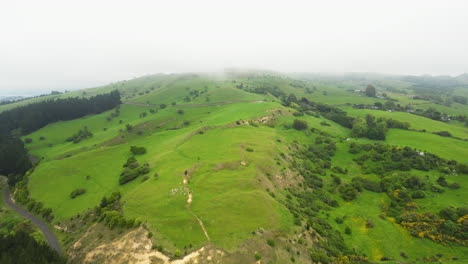Drone-shot-of-Lush-green-hillside-of-Karitane-area-New-Zealand