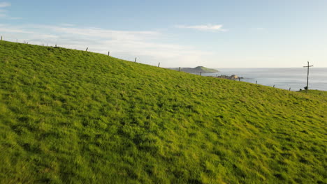Luftflug-über-Grünes-Feld-über-Hügel,-Enthüllende-Strände-Von-Karitane,-Neuseeland